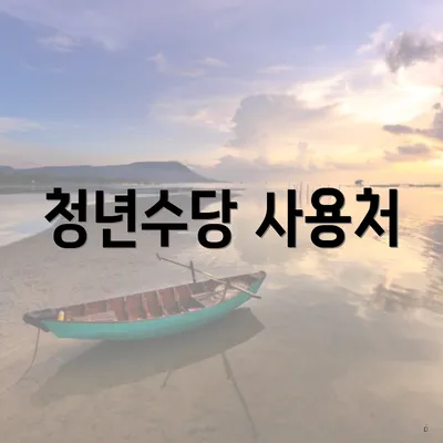 청년수당 사용처