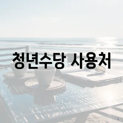 청년수당 사용처