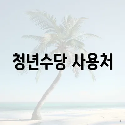 청년수당 사용처