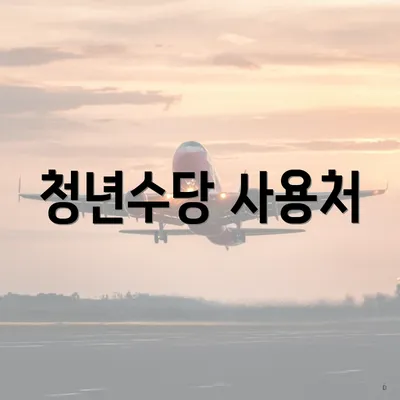 청년수당 사용처