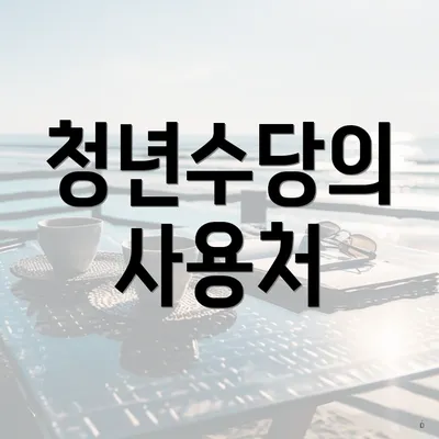 청년수당의 사용처
