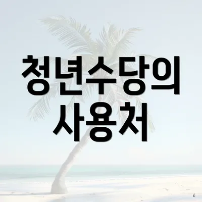 청년수당의 사용처