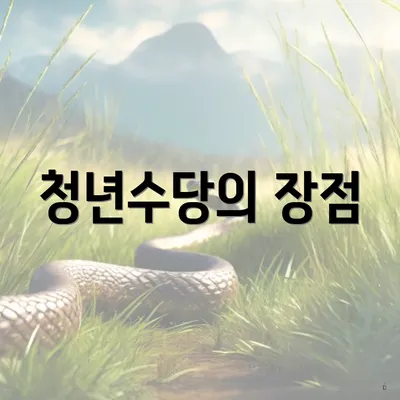 청년수당의 장점