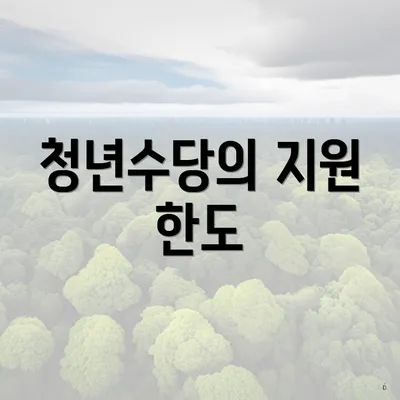 청년수당의 지원 한도