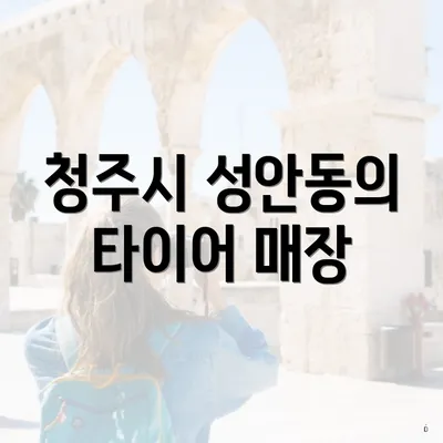 청주시 성안동의 타이어 매장