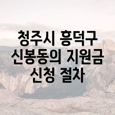 청주시 흥덕구 신봉동의 지원금 신청 절차