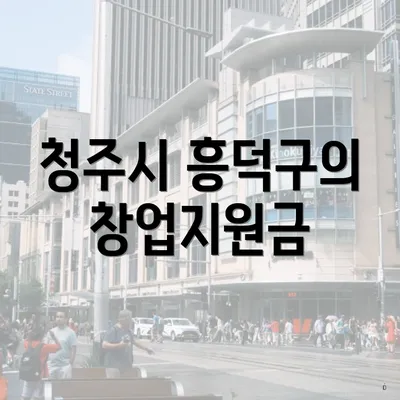 청주시 흥덕구의 창업지원금