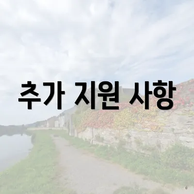 추가 지원 사항
