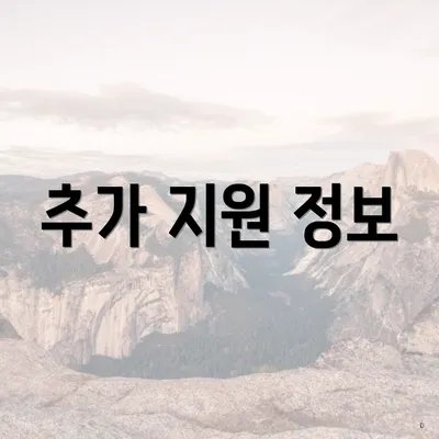 추가 지원 정보