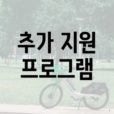 추가 지원 프로그램