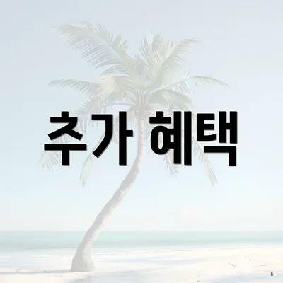 추가 혜택