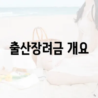 출산장려금 개요