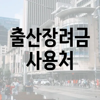 출산장려금 사용처