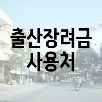 출산장려금 사용처