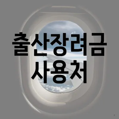 출산장려금 사용처