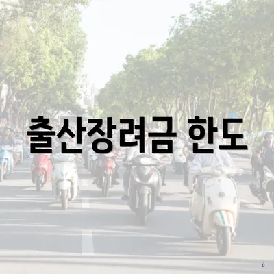 출산장려금 한도