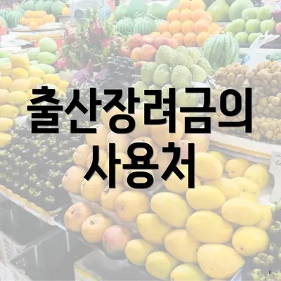 출산장려금의 사용처