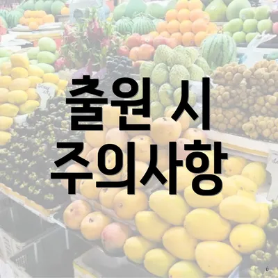 출원 시 주의사항