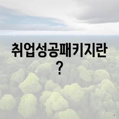 취업성공패키지란?