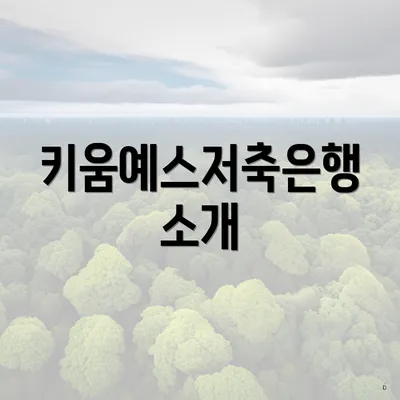 키움예스저축은행 소개