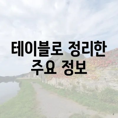테이블로 정리한 주요 정보