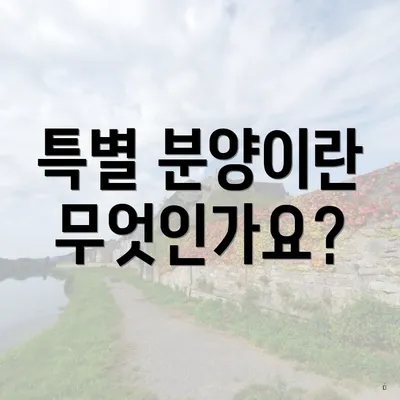 특별 분양이란 무엇인가요?