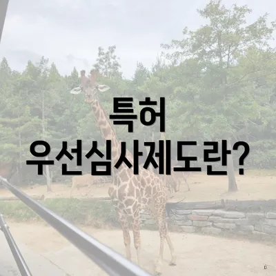 특허 우선심사제도란?