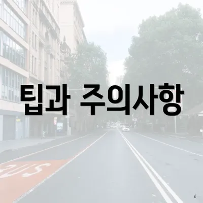 팁과 주의사항
