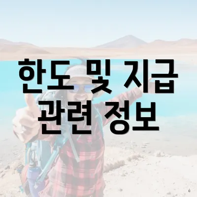 한도 및 지급 관련 정보