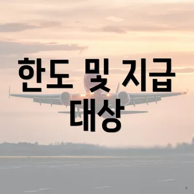 한도 및 지급 대상