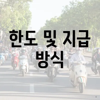 한도 및 지급 방식