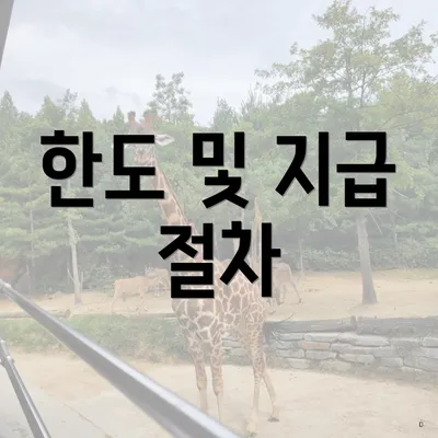 한도 및 지급 절차