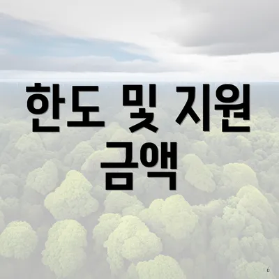 한도 및 지원 금액