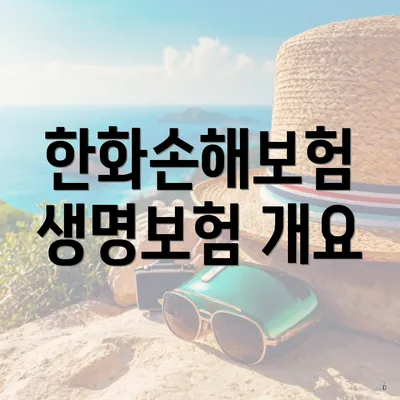 한화손해보험 생명보험 개요