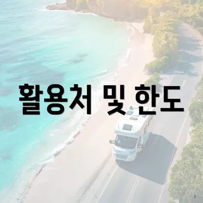 활용처 및 한도